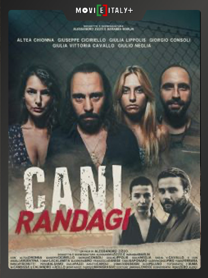Cani Randagi